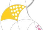 5be715ae661ca.webp