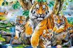 5d99c35be5166.webp