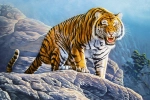 5db589af530d4.webp