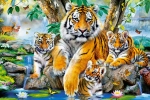 5dbca0151d2ad.webp