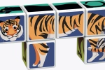 5fb03e30652b5.webp