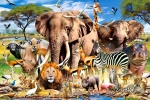 618261bb5699c.webp