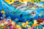 6183db1ab7d4e.webp