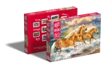 61a126f12e45c.webp