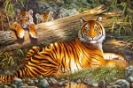 61a12c2f2e8b8.webp