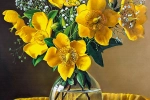 61a15524df5ac.webp