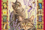 61a13dd727c05.webp