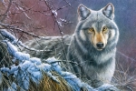 61a1f4ba55588.webp
