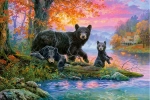 6221d615e9284.webp