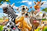 6738-1.webp